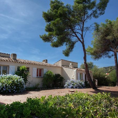 Cosy Holiday Home In Carg Se Corse Du Sud Near Sea Cargèse Buitenkant foto