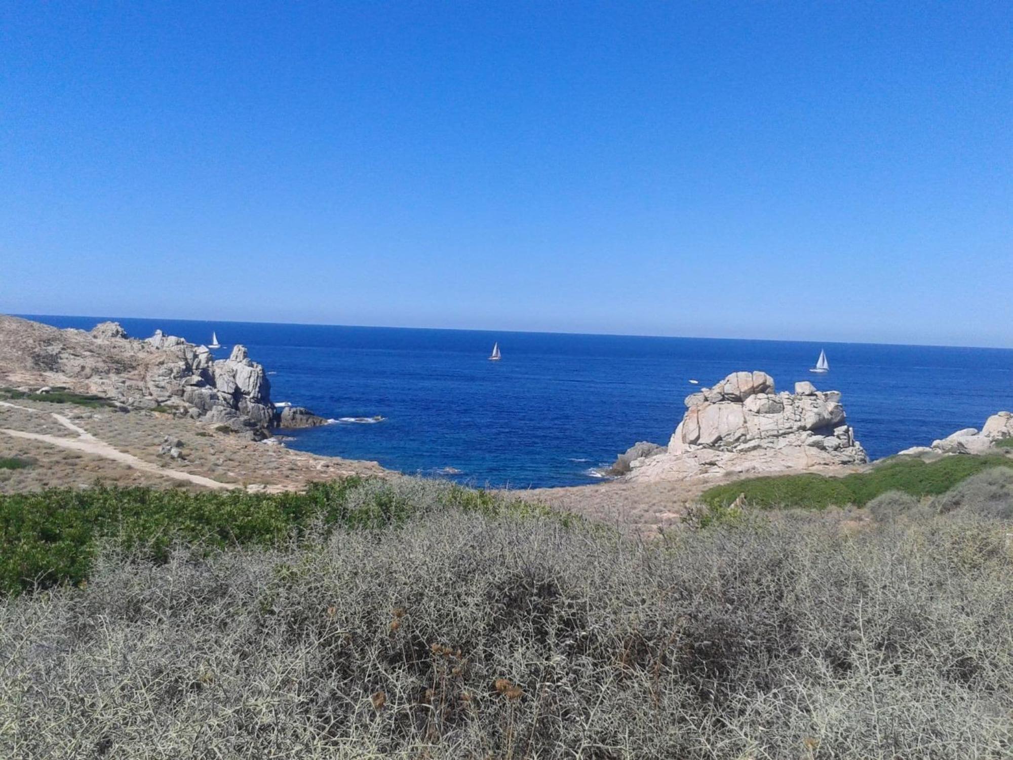 Cosy Holiday Home In Carg Se Corse Du Sud Near Sea Cargèse Buitenkant foto