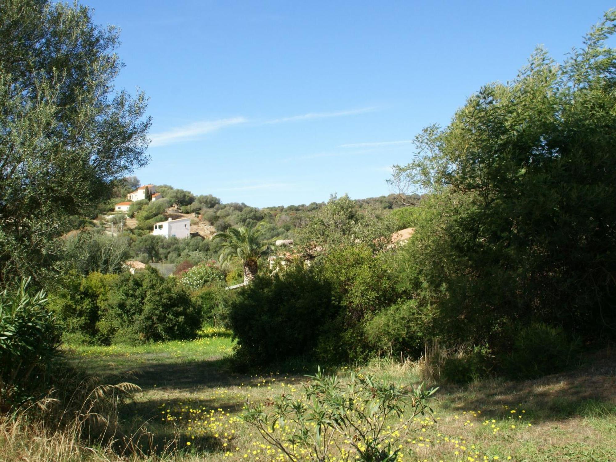 Cosy Holiday Home In Carg Se Corse Du Sud Near Sea Cargèse Buitenkant foto