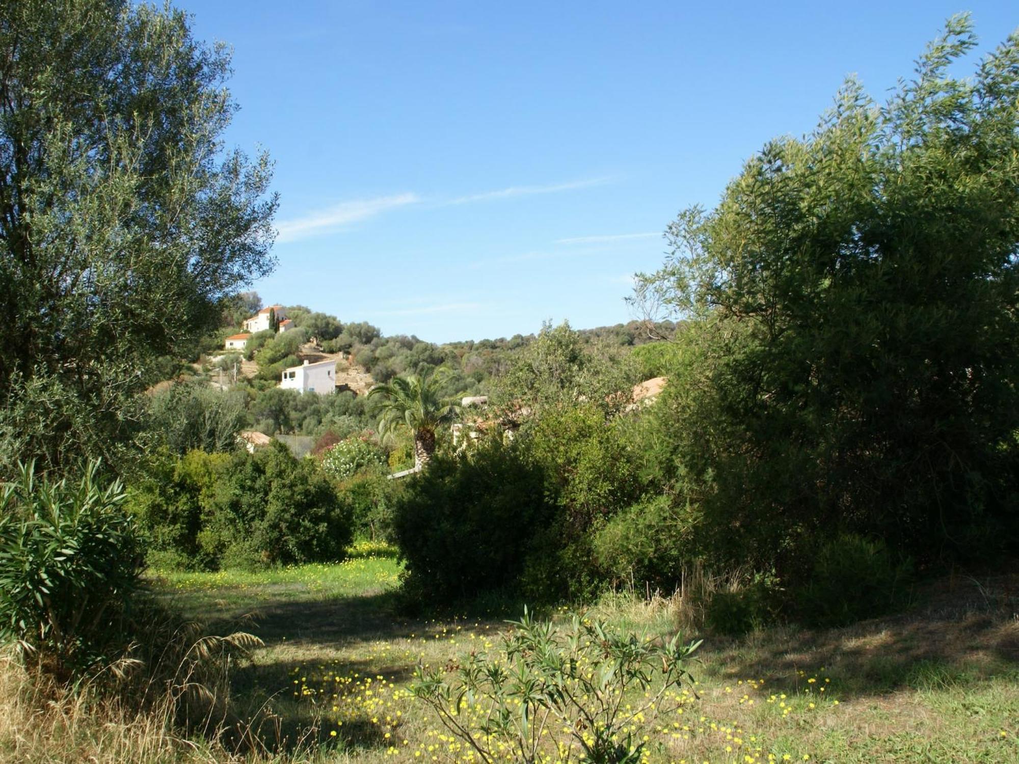 Cosy Holiday Home In Carg Se Corse Du Sud Near Sea Cargèse Buitenkant foto